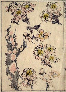 Image description is not available for 1975.009